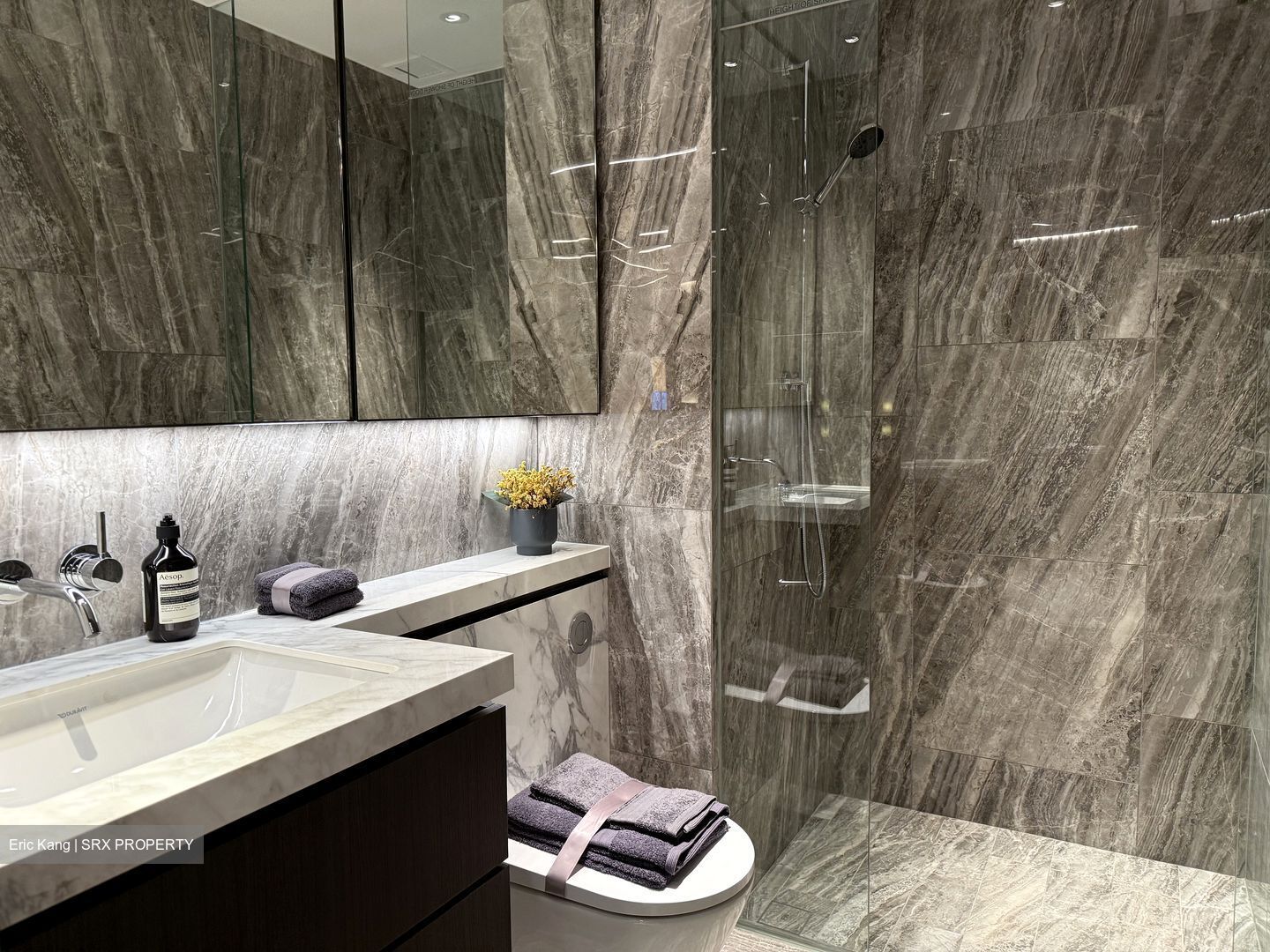 Newport Residences (D2), Apartment #543832431